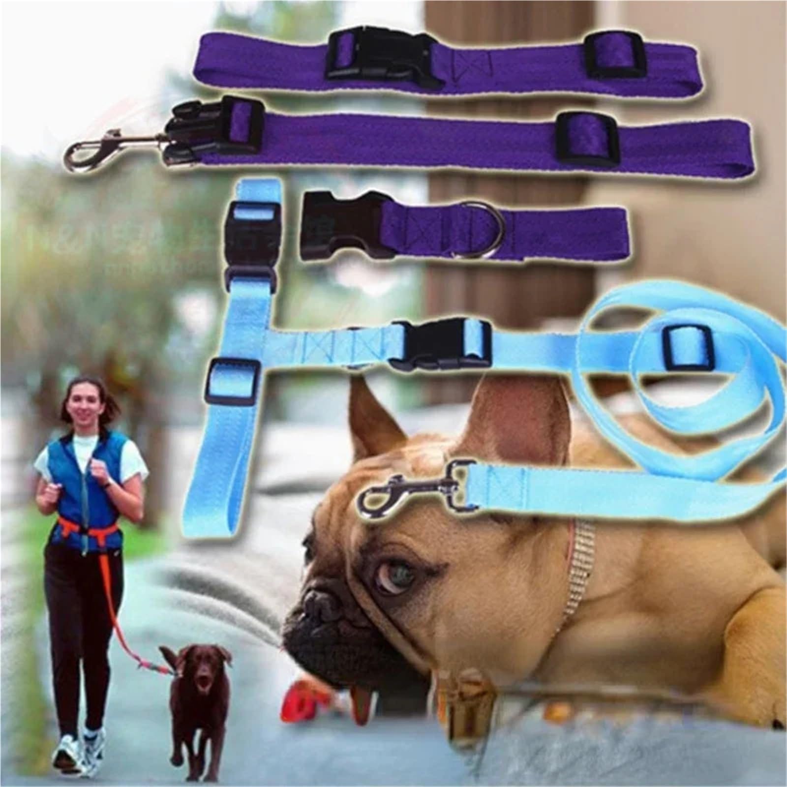 Ceinture de Traction pour Chien 1 Laisse réglable for Chien et Chat, idéale la Course, Marche, Le Jogging, Taille, Poitrine, Cadeau, Corde de Traction(Yellow)