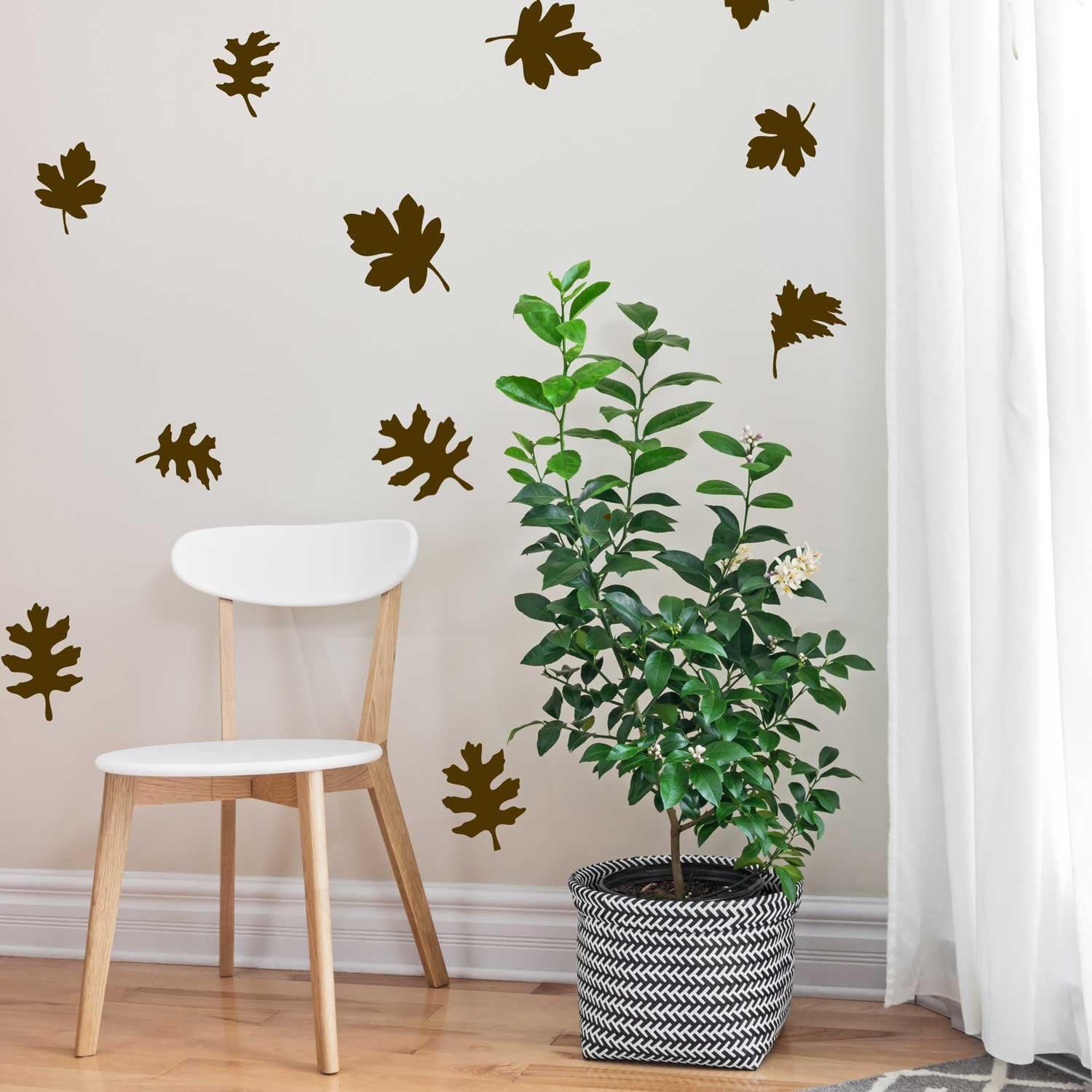 Adhesivos y Murales para Pared