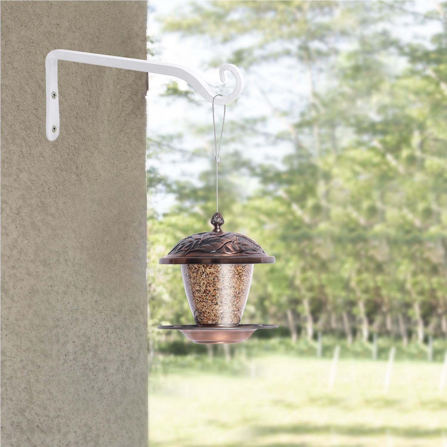 JunGG Support mural en fer pour plantes - 25 cm - Blanc (blanc, 25 cm)