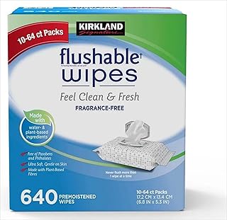 カークランドシグネチャー 流せるウェットワイプ 64 枚×10個