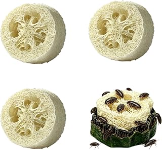 for Roaches, Isopods, Springtails & Crickets, Cockroach Water Basin & 3 Loofah Set, Dubia Roaches Live Habitat Reptile Container Supplies for Terrariums & Enclosures, Comfortable Habitat