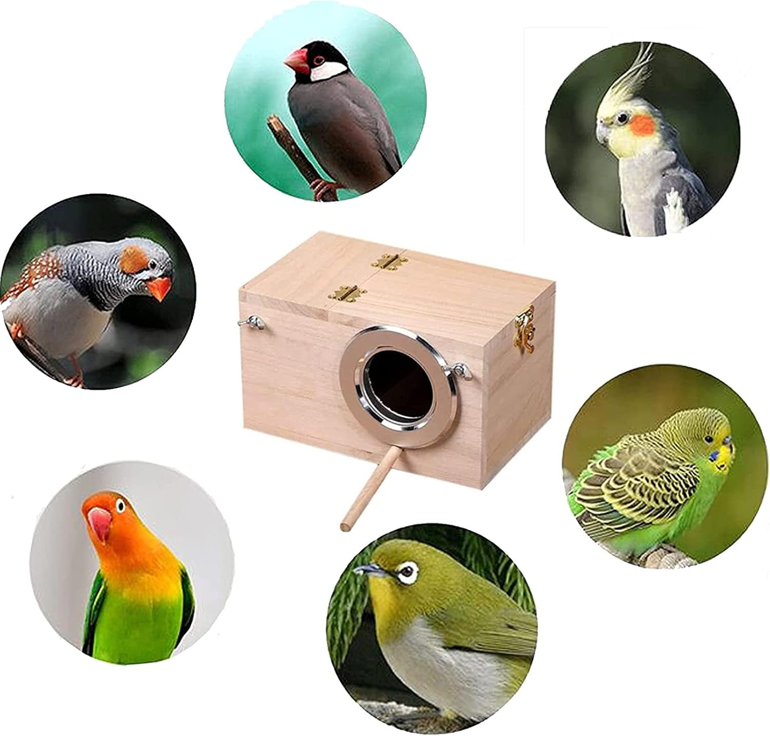 Parakeet Nesting Box, Bird Nest Breeding Box Cage Wood House for Finch Lovebirds Cockatiel Budgie Conure Parrot, 8'' X 5'' X 5'' : Pet Supplies