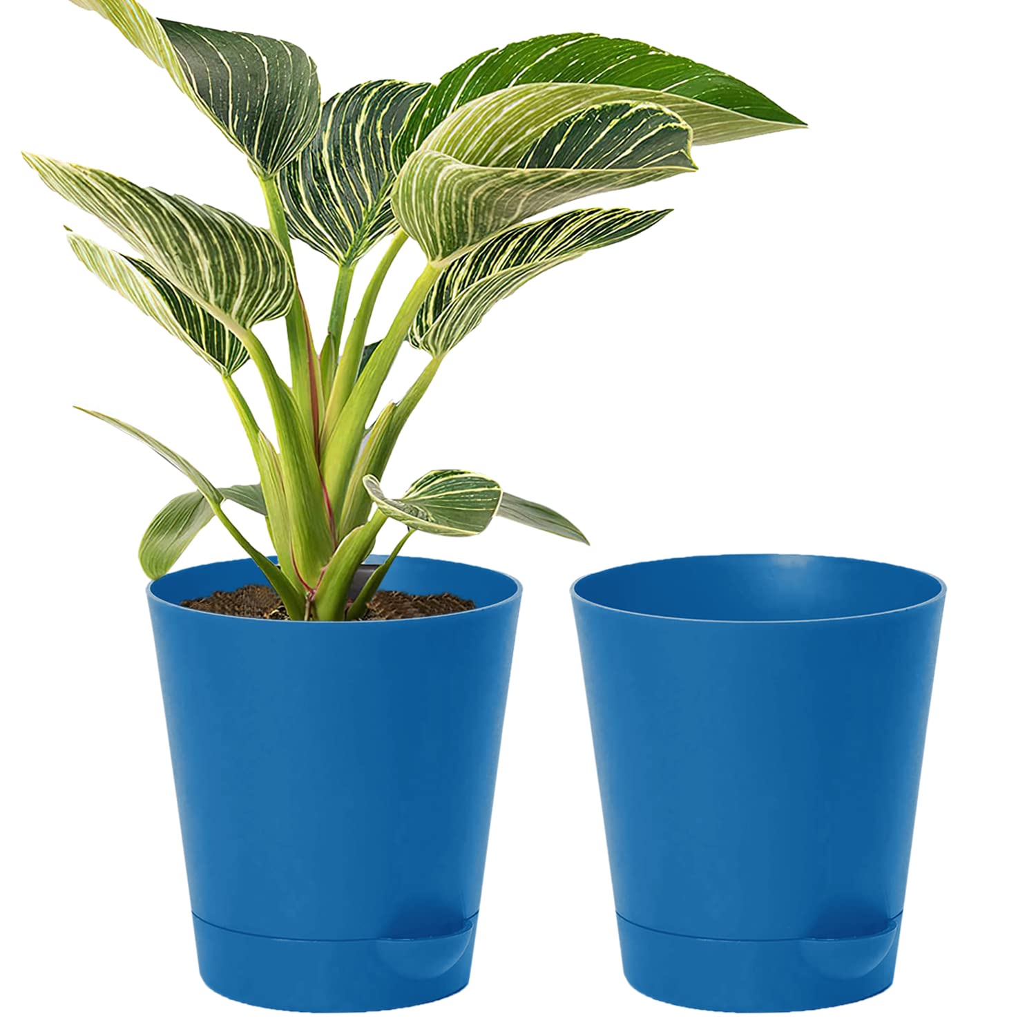 Kuber Industries Plastic Titan PotGarden Container for Plants