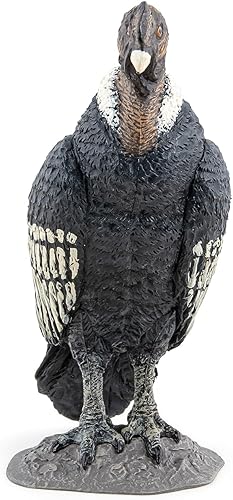 Miniatura 4 de Papo Cóndor