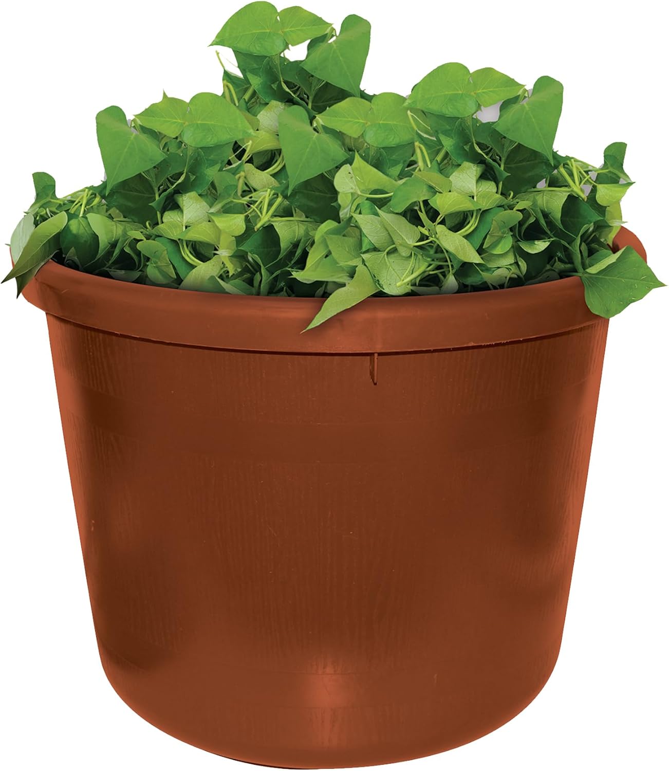 City Pickers Spud Tub Potato Grow Kit – Works Great on Decks and Patios – Low Maintenance & High Potato Yields