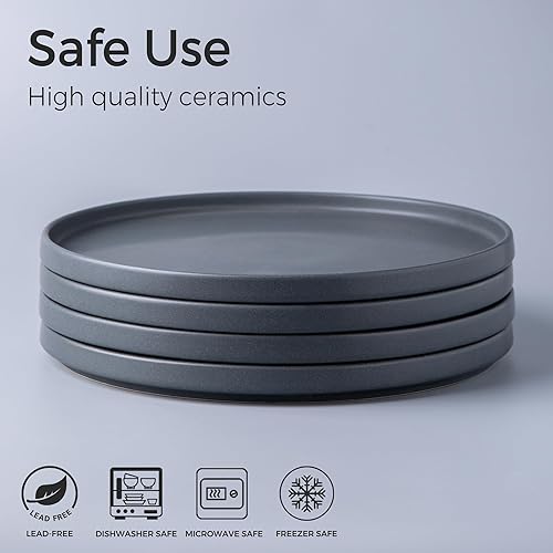 Miniatura 2 de AmorArc Juego de 4 platos de cerámica para ensalada, juego de 4 platos reactivos de esmalte mate de 8.5 pulgadas, postre, ensalada, aperitivo, plato