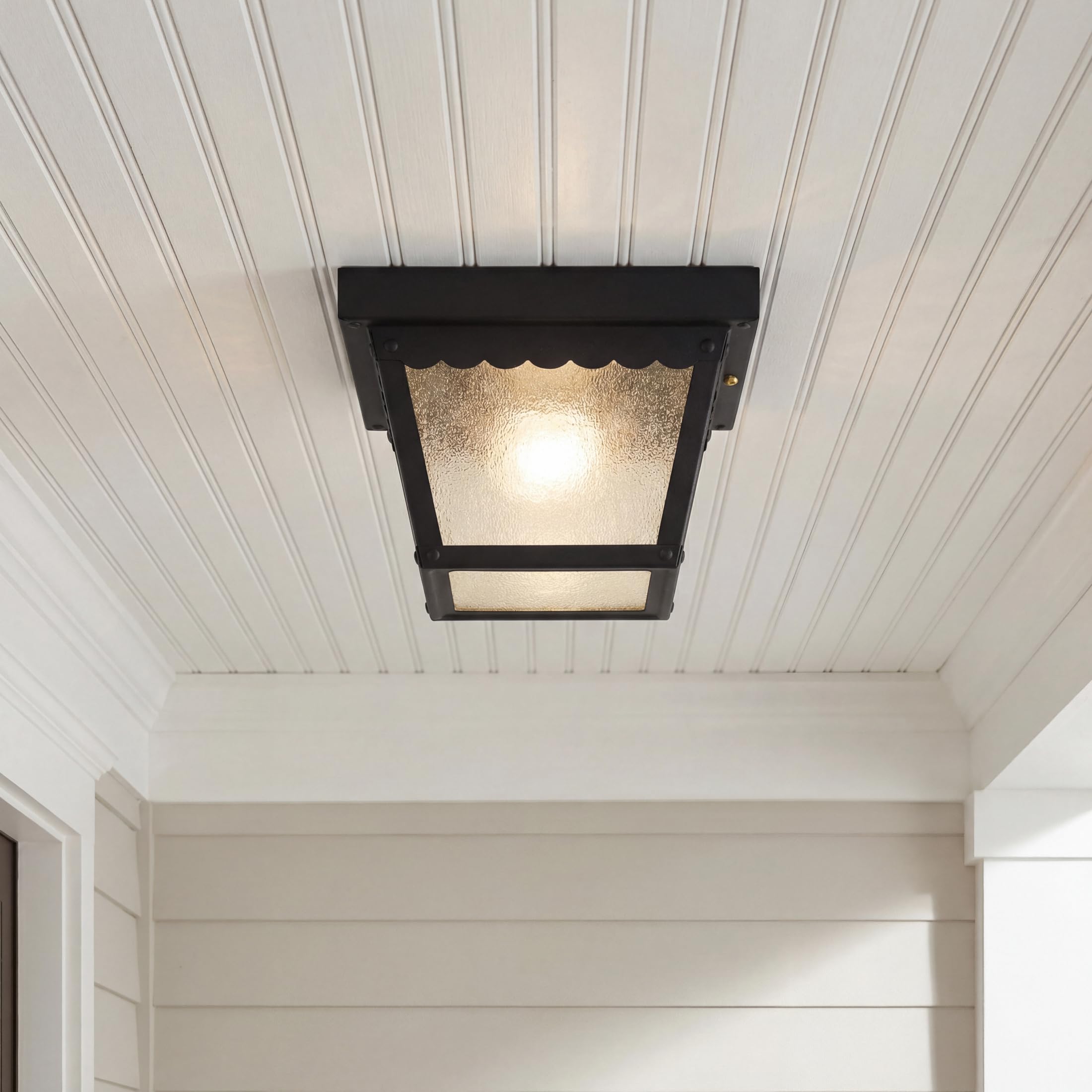 Progress Lighting 1-Light Indoor and Outdoor Flush Mount Ceiling