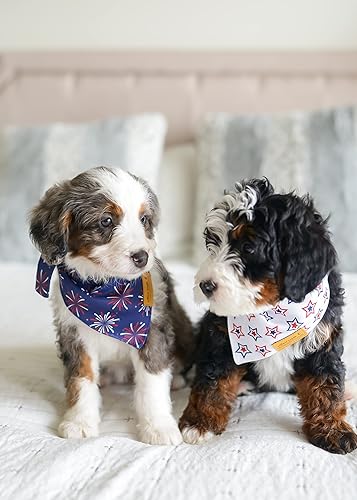 Miniatura 7 de Willow Creek Pet Apparel Pañuelo para perros y cachorros  Paquete de 2 unidades del 4 de julio  Tela duradera de doble capa  Lindo y moderno  Todas