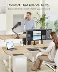 MonTEK Arme mono-écran, bras de ressort mécanique pour écrans ultra larges de 17 à 40 po, support de bureau réglable 26.4 lbs avec pince C/montoir de bureau Grommet, VESA 75/100mm, MA1011BK