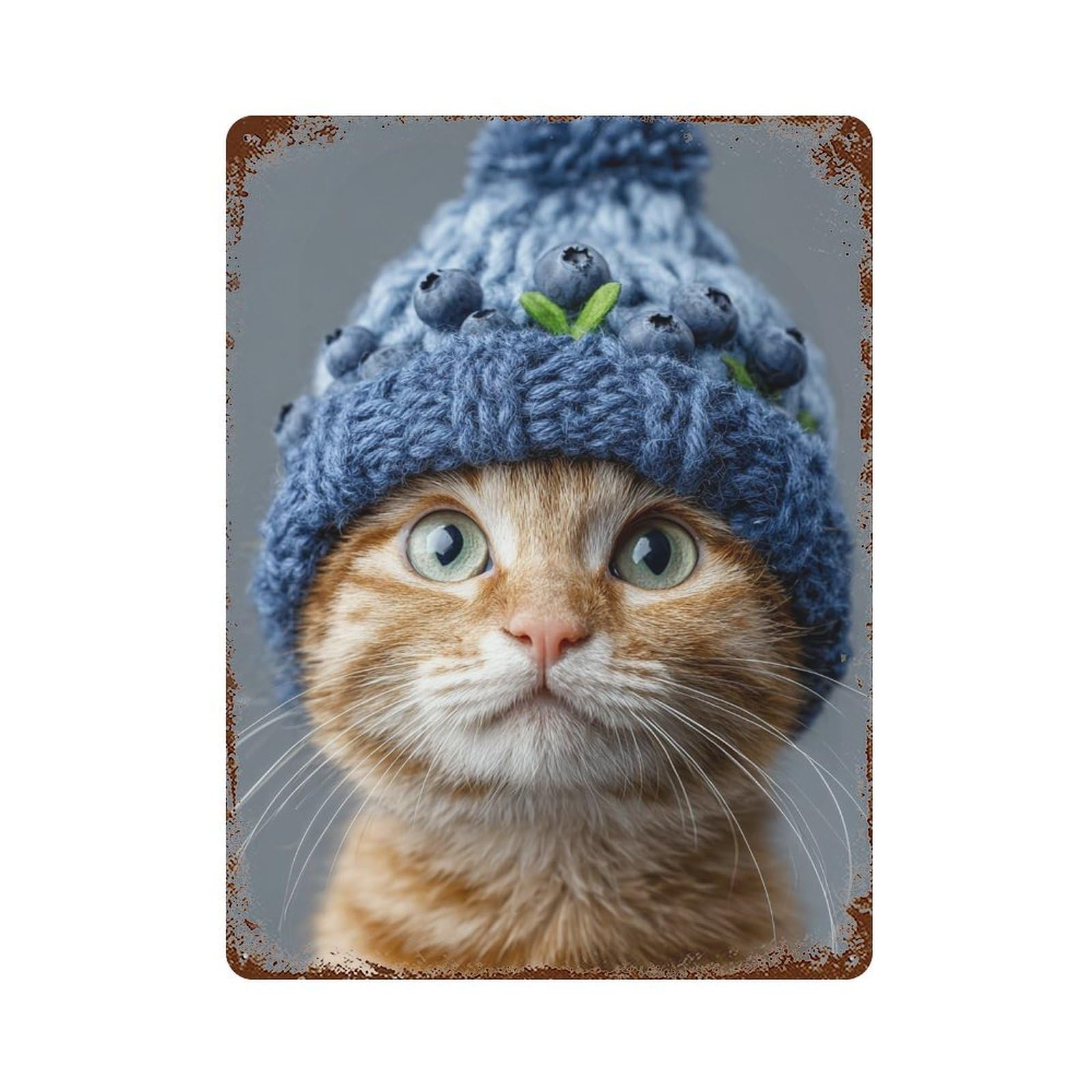 Blueberry Hat Cat 15.7"x11.8" Retro Metal Sign, Old School Wall Decor for Office, Studio And Wall Decor