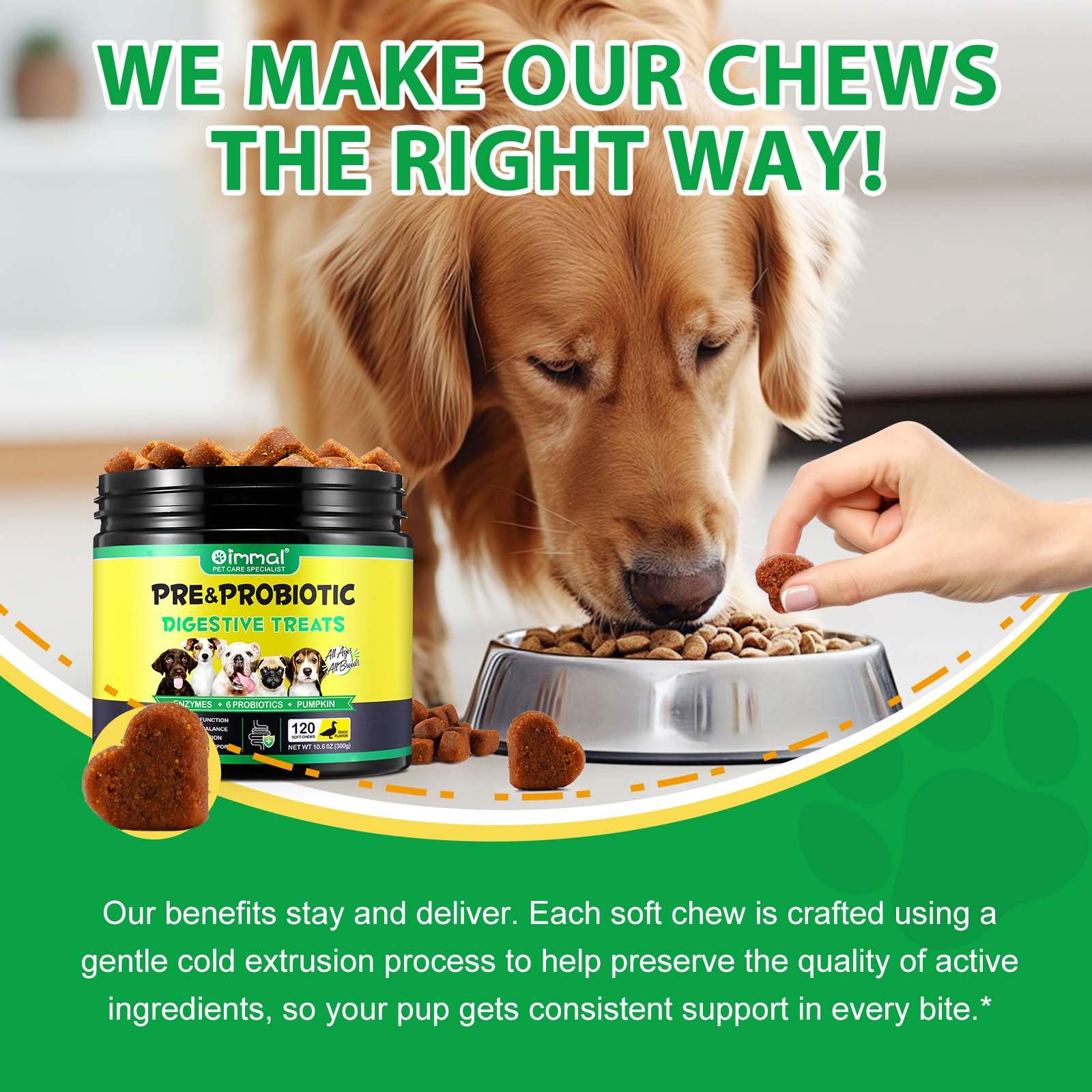 Probiotici per Cani, Probiotici per Cani Enzimi digestivi, Salute dell'intestino, Prurito cutaneo, Allergie, Equilibrio dei lieviti, Sistema immunitario e Supporti per la Salute Generale