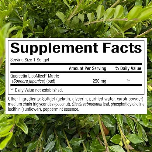 Miniatura 2 de Natural Factors Quercetina LipoMicel Matrix - Apoya la salud inmune y la salud capilar - Suplemento de apoyo antioxidante con quercetina altamente