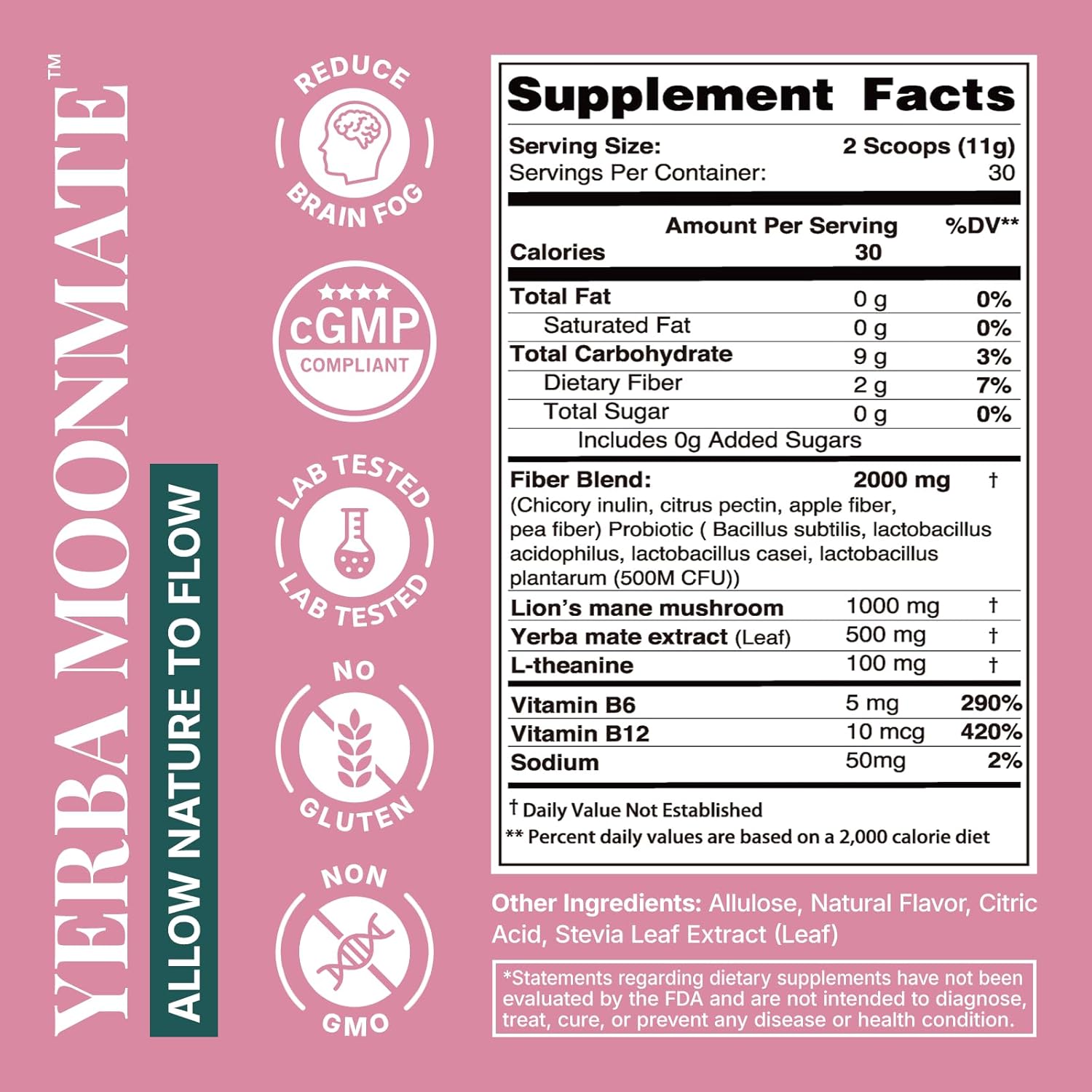 Yerba Mate Instant Tea Powder, 4-in-1 Functional Yerba Extract with Prebiotics & Probiotics, Low Sugar Clean Energy Drink for Focus, Gut Health & Reduce Brain Fog, Strawberry Matcha - 30 Servings