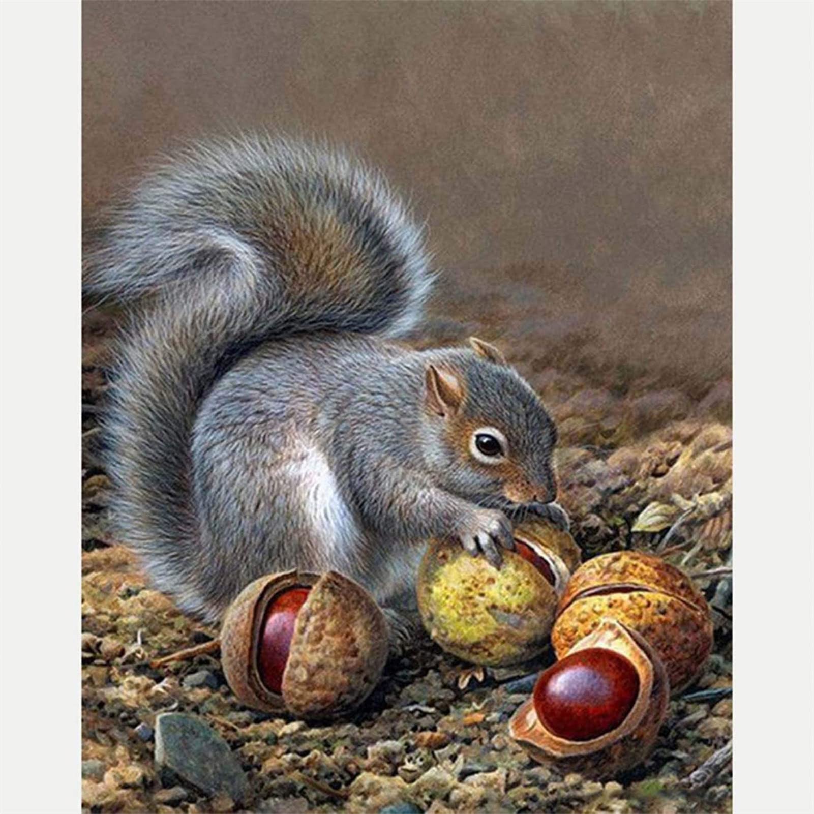 WOWDECOR Diamond Painting Squirrel Animals Full Drill, DIY 5D Diamond Art Kit Embroidery Mosaic 30x40cm
