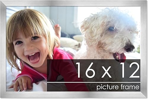 Miniatura 83 de Marco de 28 x 36 pulgadas de madera de peltre plateado con plexiglás acrílico UV, parte trasera de tablero de espuma y accesorios incluidos