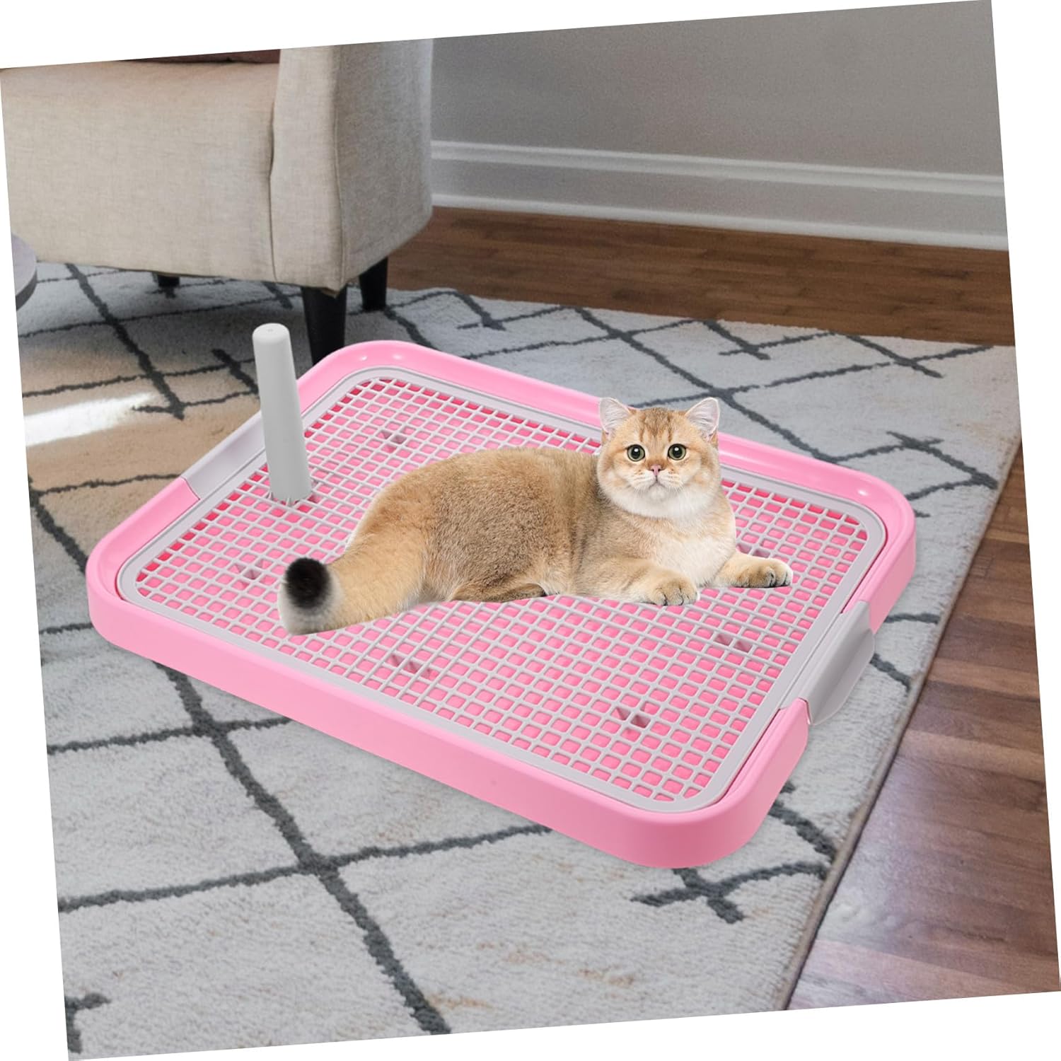 Pet Toilet Pink Plastic Indoor Dog Potty with High Sides for Leak Prevention Durable and Easy to Training Tray for Puppies and Dogs