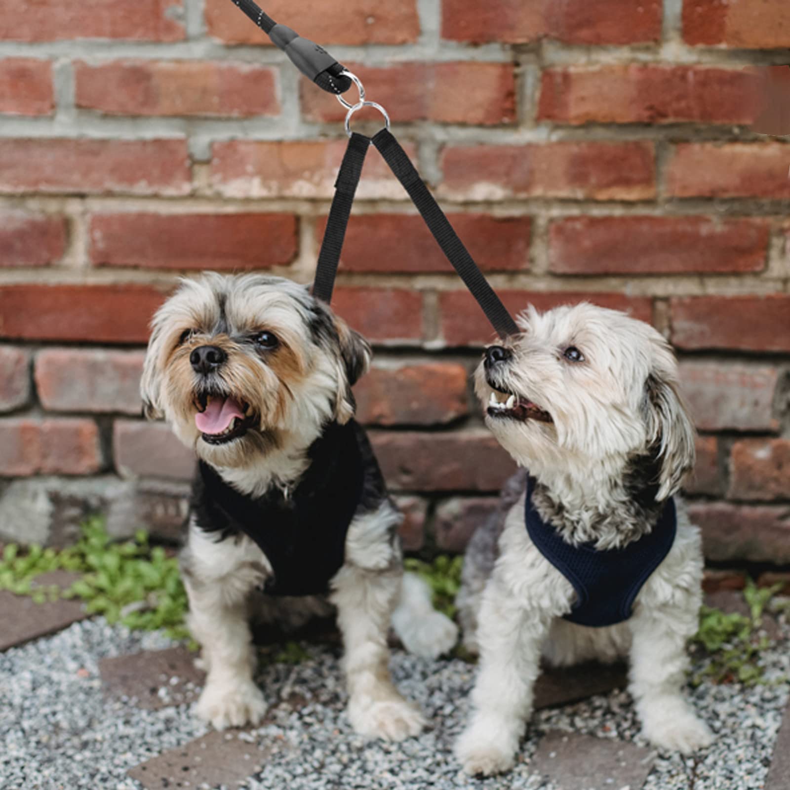 Guinzaglio Doppio Per Cani Piccoli - Divisore 2 Vie, Antigroviglio, Blu - Foto 6
