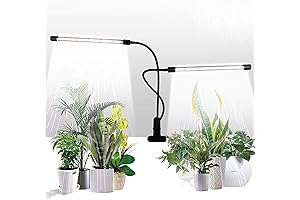 GHodec Grow Light: Cultivate Vibrant Greens Indoors
