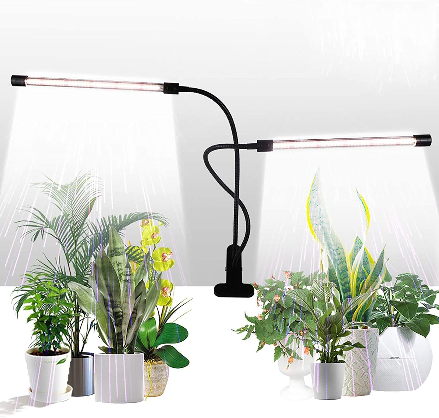 Grow Light,GHodec Sunlight White 50W 84 LEDs Dual Head Clip Plant Lights for Indoor Plants, 4/8/12H Timer & 5 Dimmable Levels