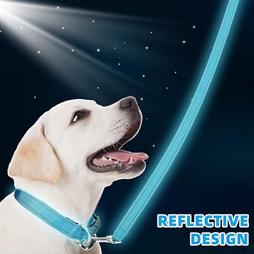 Miniatura 6 de Juego de 6 juegos de correa y collar reflectantes para perro, correas de nailon ajustables, collar de perro resistente, correa de mango acolchado