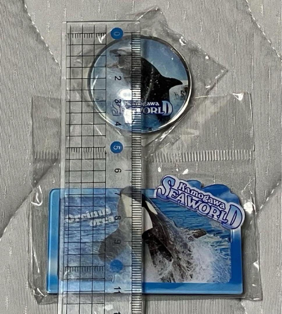 Amazon.co.jp: レア 鴨川シーワールド限定 マグネット シャチ : 文房具