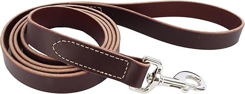 Coastal Pet - Circle T Latigo - Correa de piel para perro - Correa cómoda y resistente a la intemperie para entrenamiento - Perfecta para cachorros