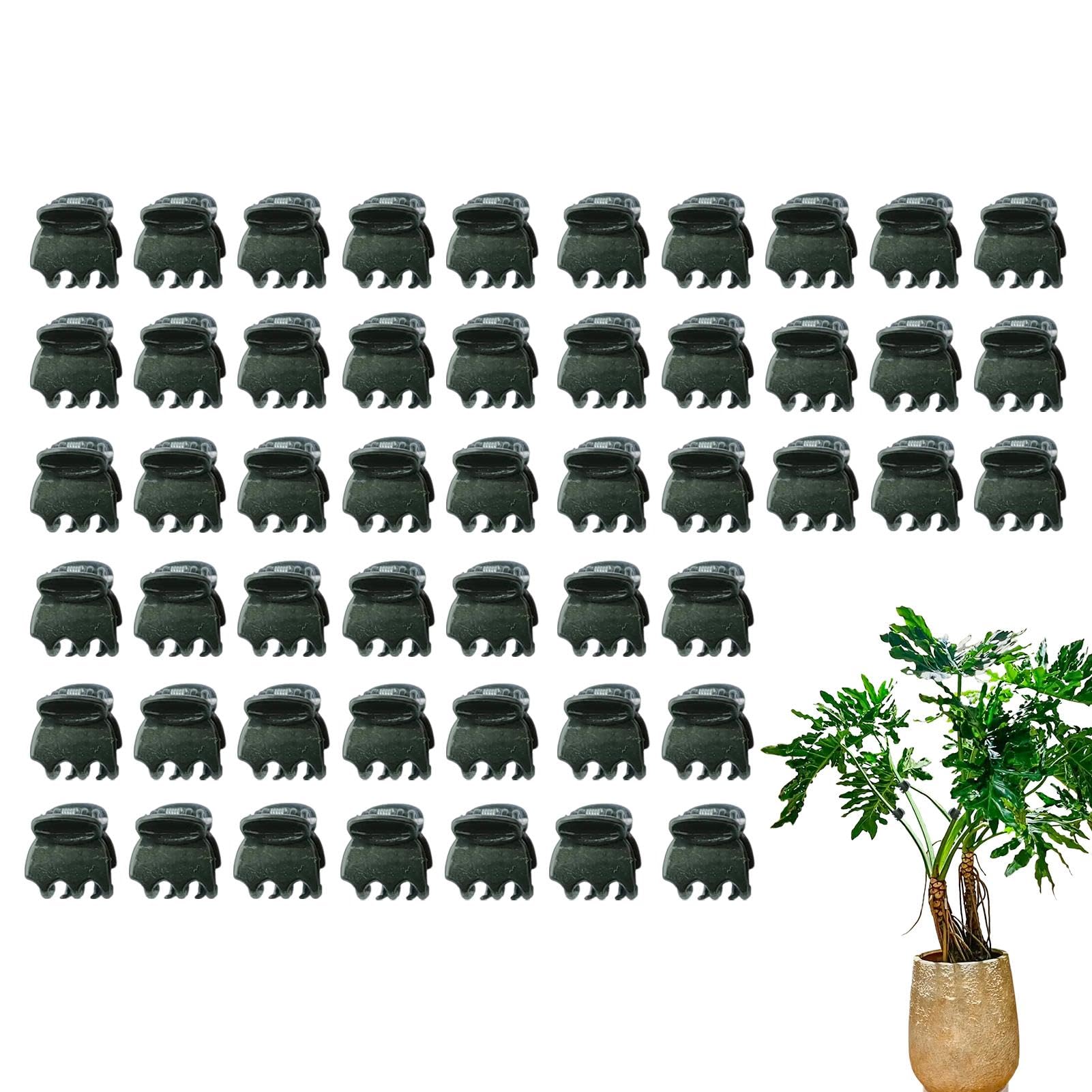 Pack De 50 Pinzas Para Orquídeas Y Plantas Trepadoras - Clips De Jardín Reutilizables Para Sujetar Tallos Y Zarcillos, Soporte Fácil Para Cultivo Interior Y Exterior - Verde