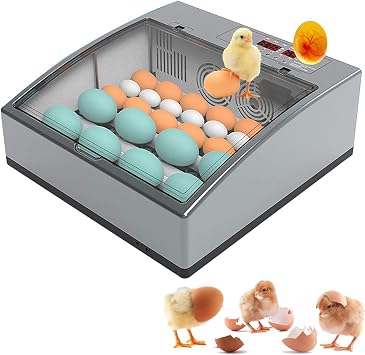 Egg Incubator with Automatic Egg Turning and Humidity Control, Incubator Small, Poultry Hatcher with Digital Display for Chickens Ducks Goose Others, Built-in Egg Candler