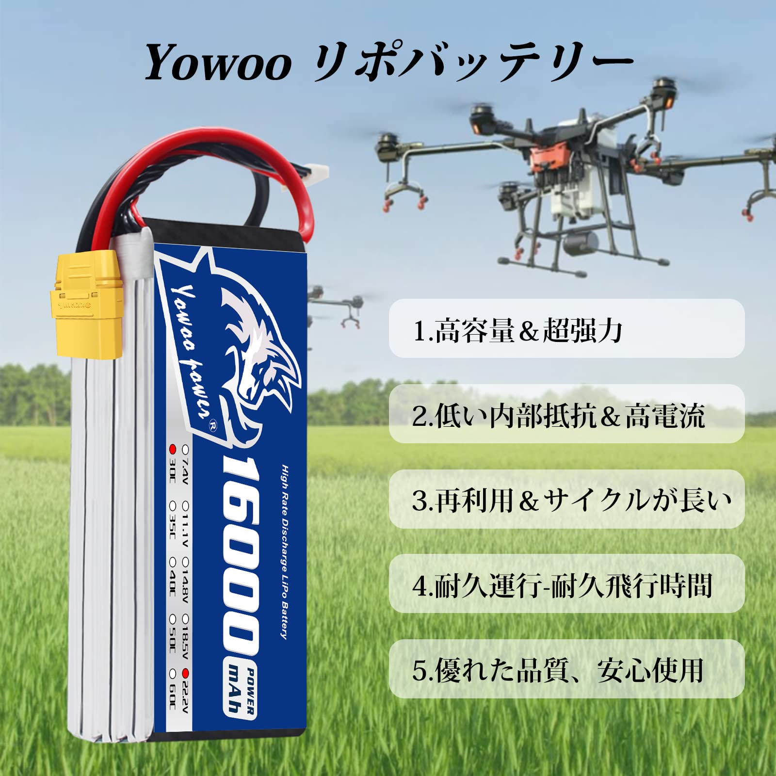 Amazon.co.jp: Yowoo 6S 22.2V 16000mAh 30C LiPoバッテリーパック、の