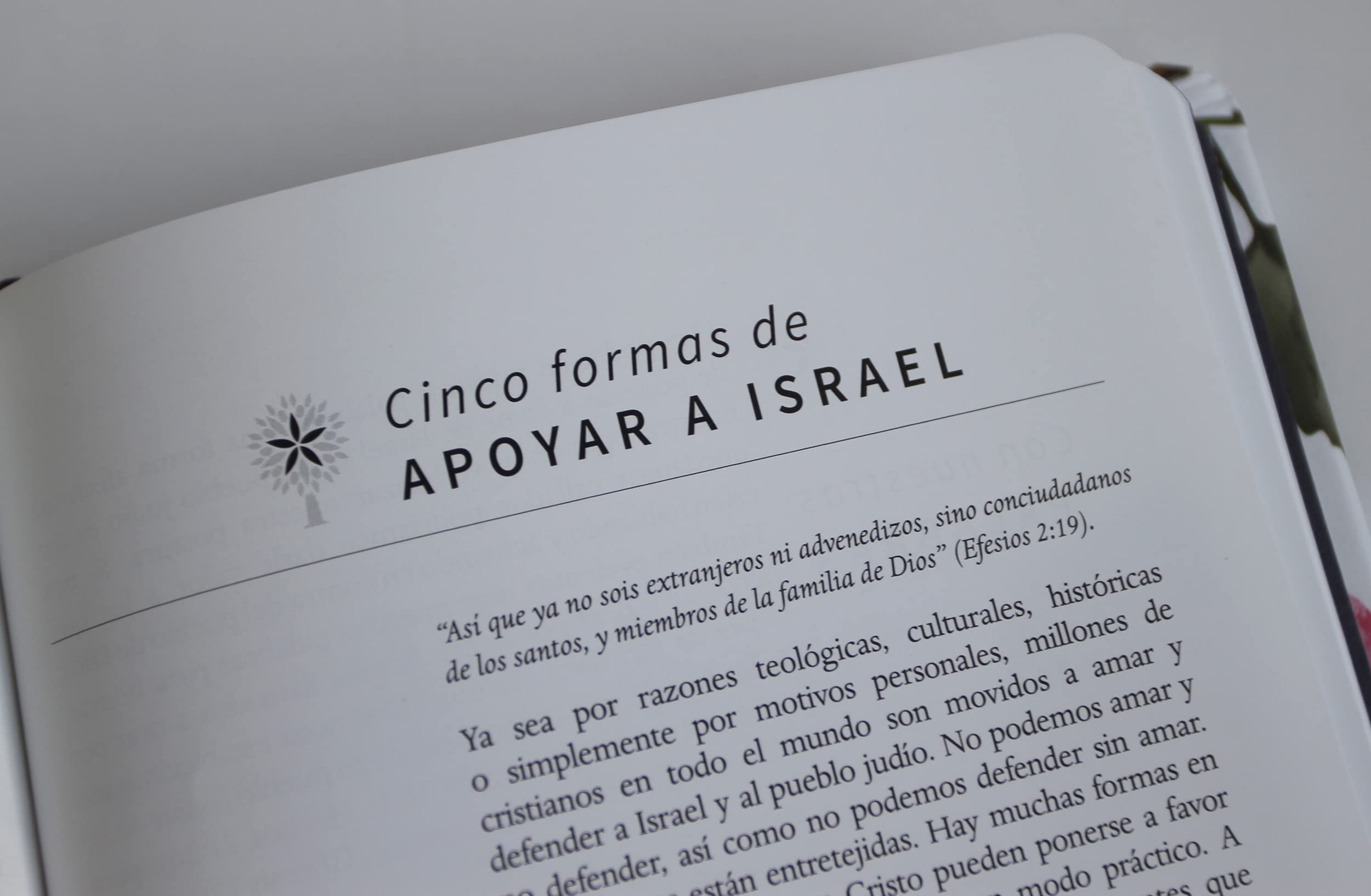 Biblia RVR 1960 letra grande. Tapa dura tela azul púrpura con flores tamaño manu al / Bible RVR 1960 Handy Size Hardcover Cloth with Purple Blue ... / Spanish Bible RVR 1960 Blue with Flowers