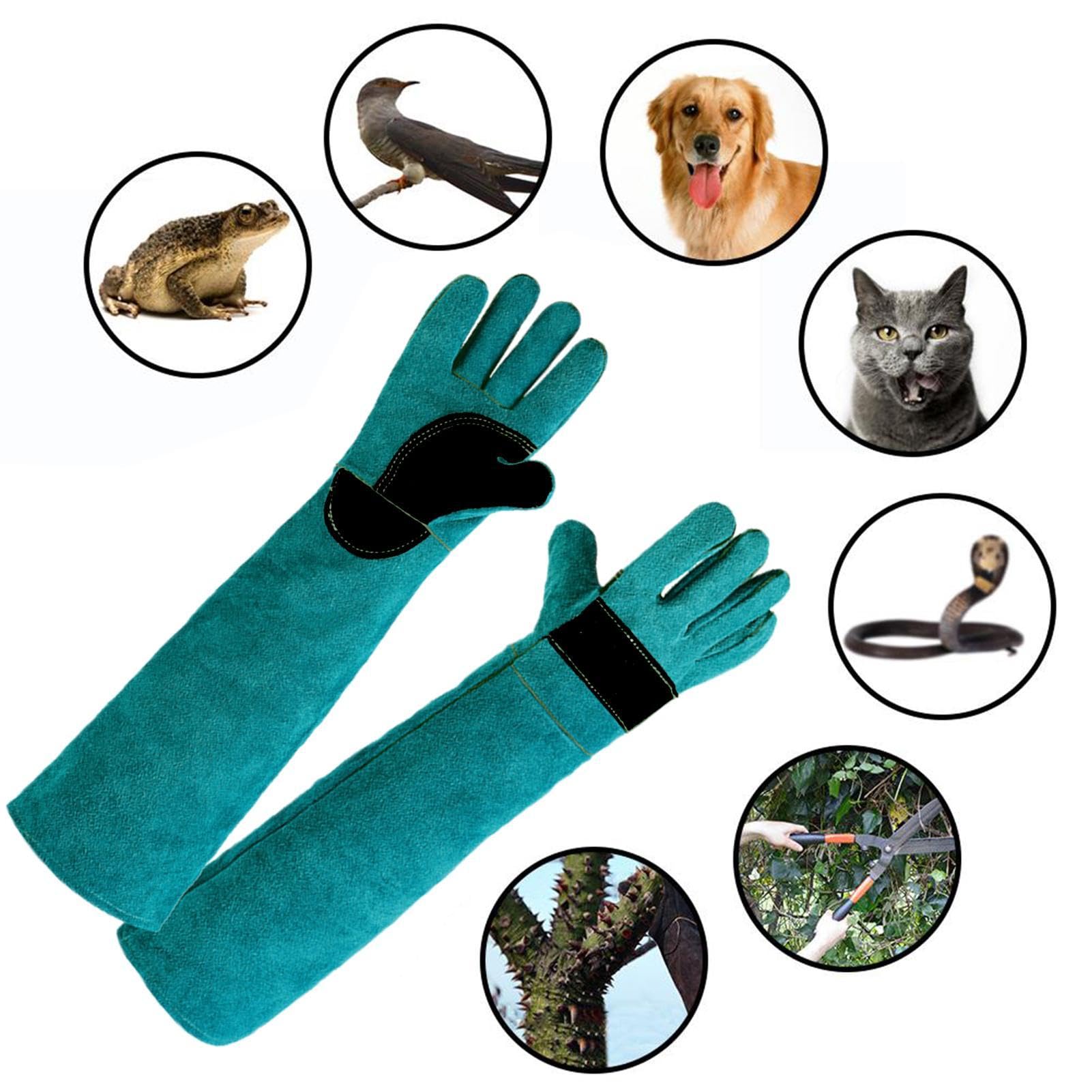 Mehrzweck-Handschuhe für Reptilien, bissfest, durchstichsicher, verstärkte Polsterung, Hund für Tierärzte, Tierpfleger, Hundefriseure | Polsterung, Hund für Tierärzte, Tierpfleger, Hundefriseure