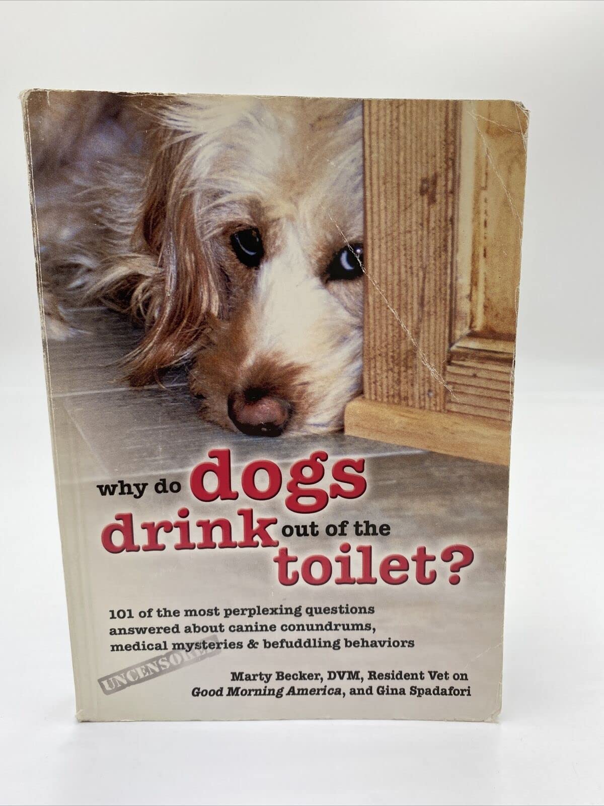Why Do Dogs Drink Out of the Toilet?: 101 of the Most Perplexing Questions Answered About Canine Conundrums, Medical Mysteries & Befuddling Behaviors Paperback – January 1, 2006