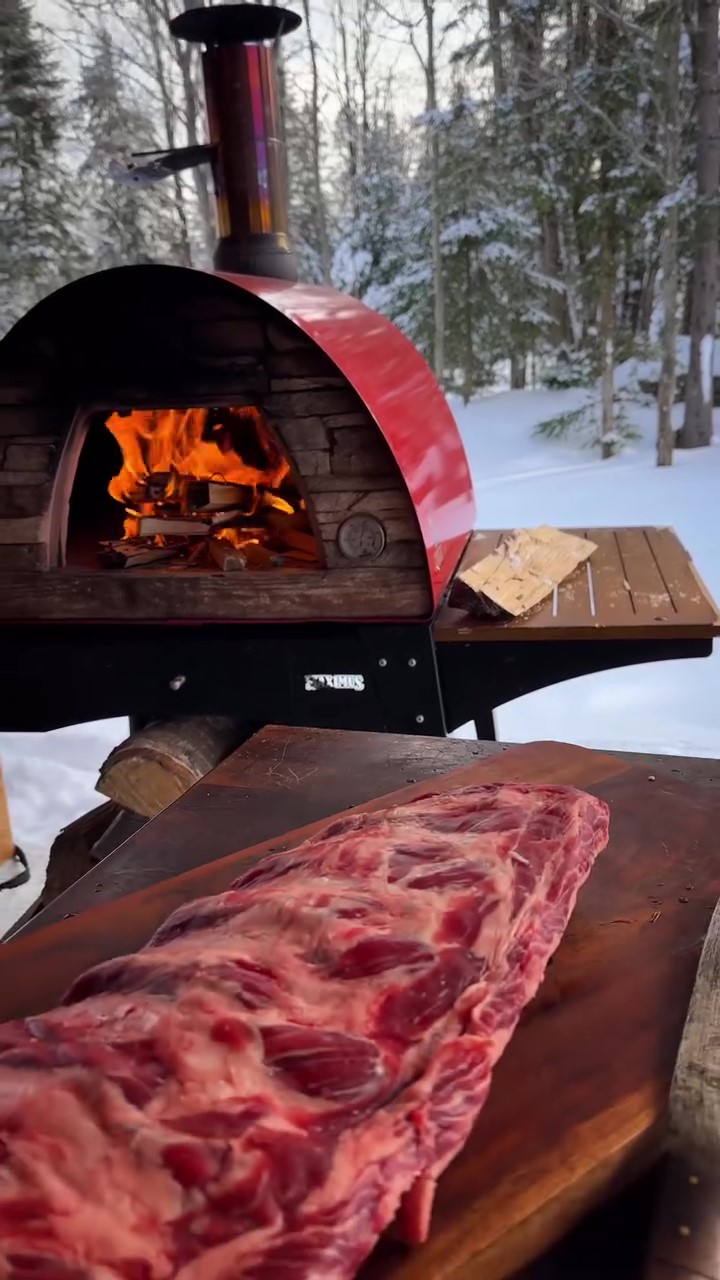 Amazon.com: Authentic Pizza Ovens Maximus Prime Arena Portable