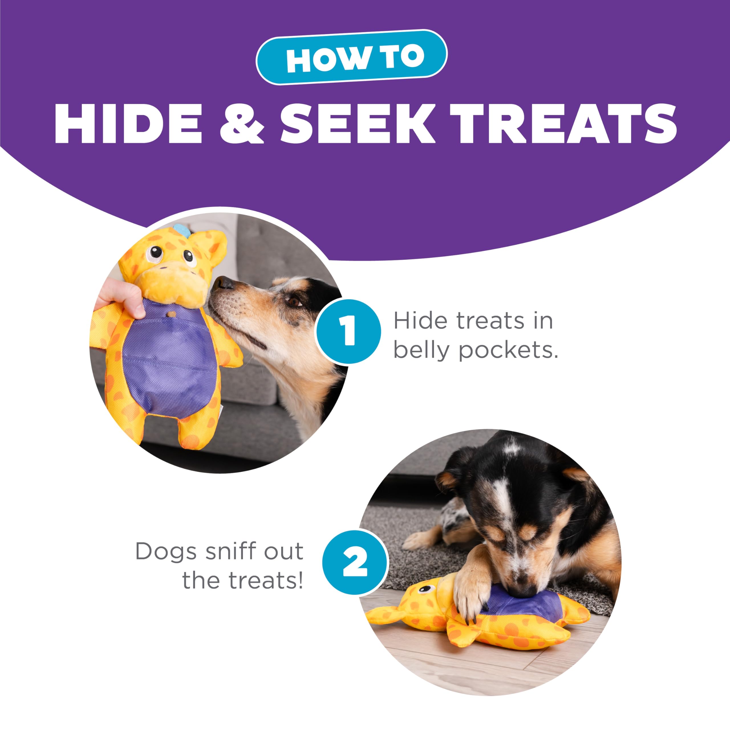 Amazon.com: Outward Hound by Nina Ottosson Puzzle Palz Interactive