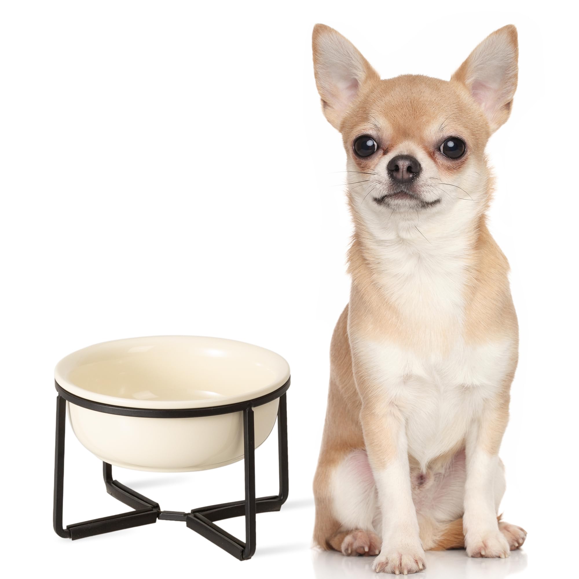 Ceramic Elevated Dog Food Bowl - Raised Dog Dish with Metal Stand - Pet Feeding Bowl for Puppies and Cats - 1 Cup - 13.5 fl oz - Beige