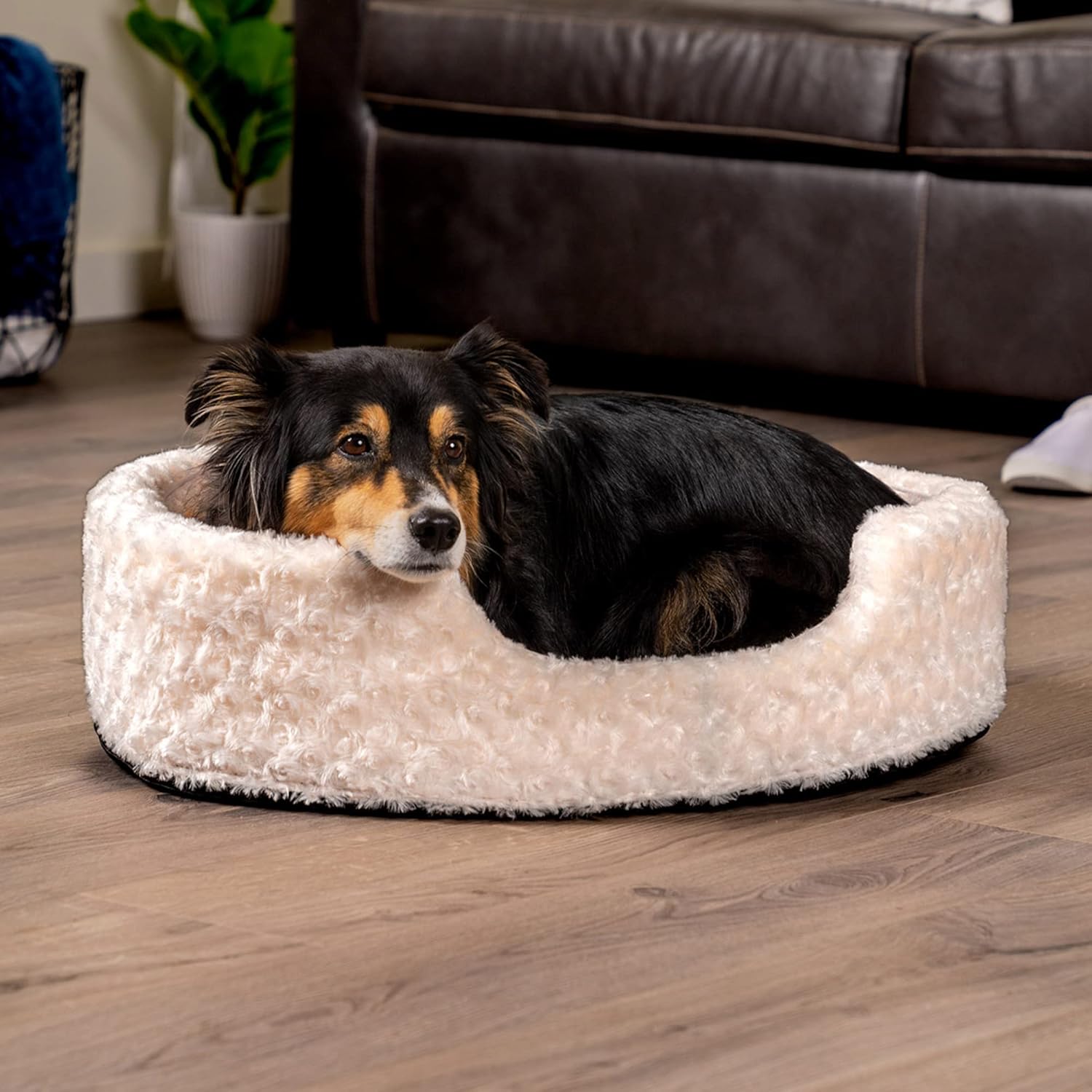 review Furhaven Dog Bed for Large/Medium Dogs w/ Removable Washable Cover & Pillow Cushion Insert, For Dogs Up to 30 lbs - Ultra Plush Faux Fur Oval Lounger - Cream, Large