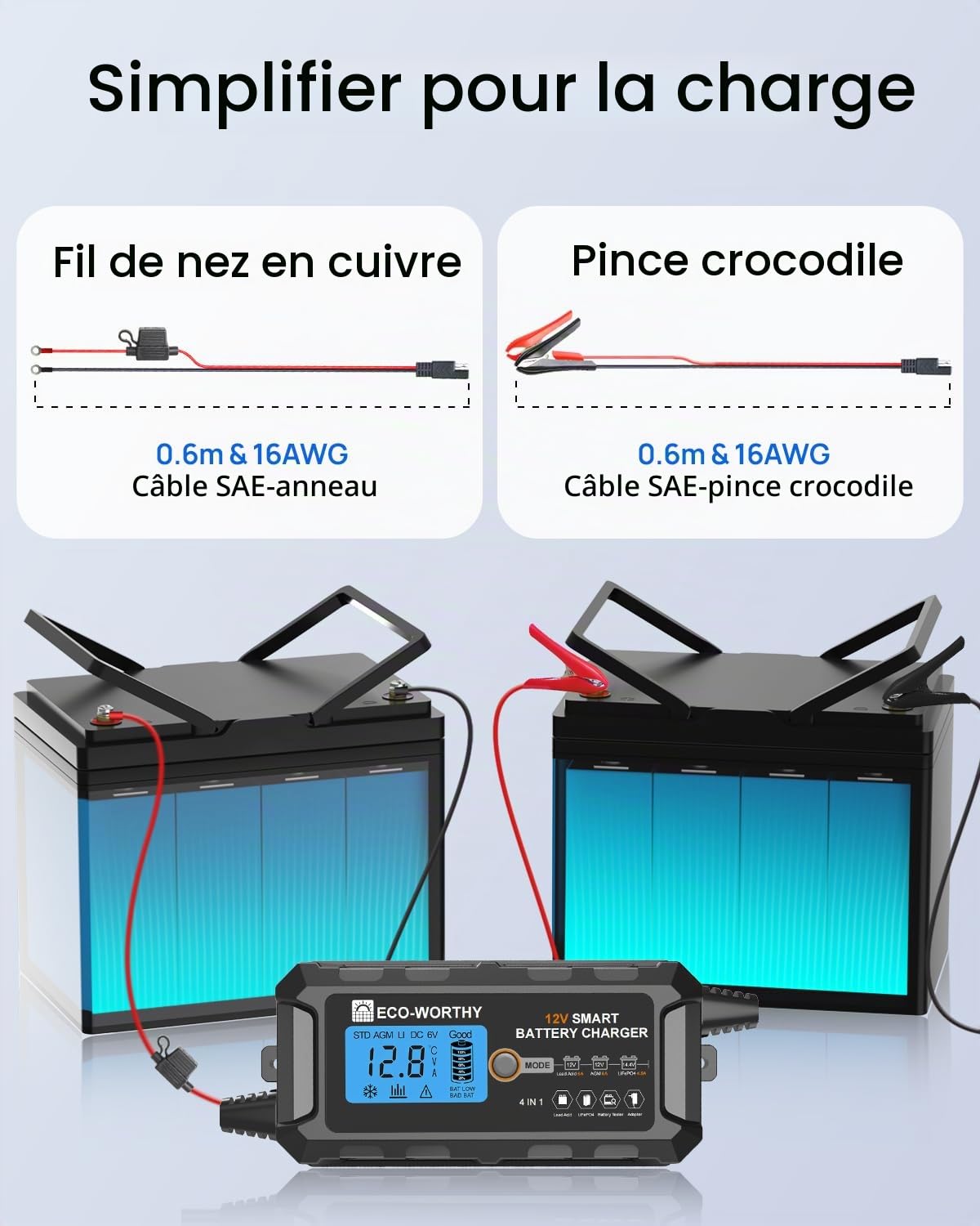 ECO-WORTHY Chargeur de batterie LiFePO4 au lithium 12 V 5 A (prise britannique) automatique intelligent et mainteneur avec écran LCD pour batterie au plomb et lithium (LiFePO4) scooter