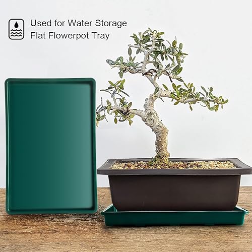 Vista 23 de Paquete de 5 bandejas para macetas de guardería, bandeja de transporte y sujeción para plantas para maceta, soporte de transporte de 24 celdas