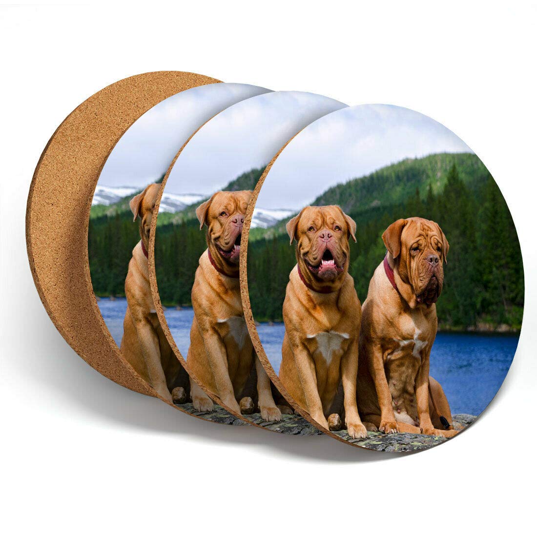 Destination Vinyl 4 Set - Dogue De Bordeaux french mastiff Coasters - Kitchen Drinks #3242