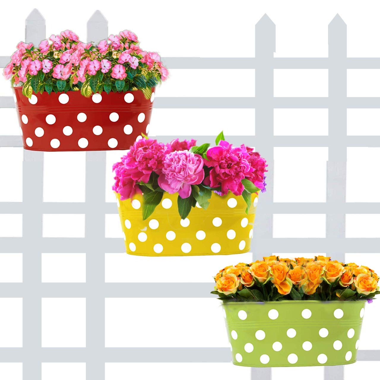 Kraft Seeds Metal Planters (3Pcs, 12.4 Inch) | Detachable Handles | Oval Dotted Hanging Planter | Useful for Home Gardening | Aesthetic Oval Planters | With Drainage Hole | Detachable Flower Pots | Home Decor (B07S2VDPK4) Amazon Price History, Amazon Price Tracker