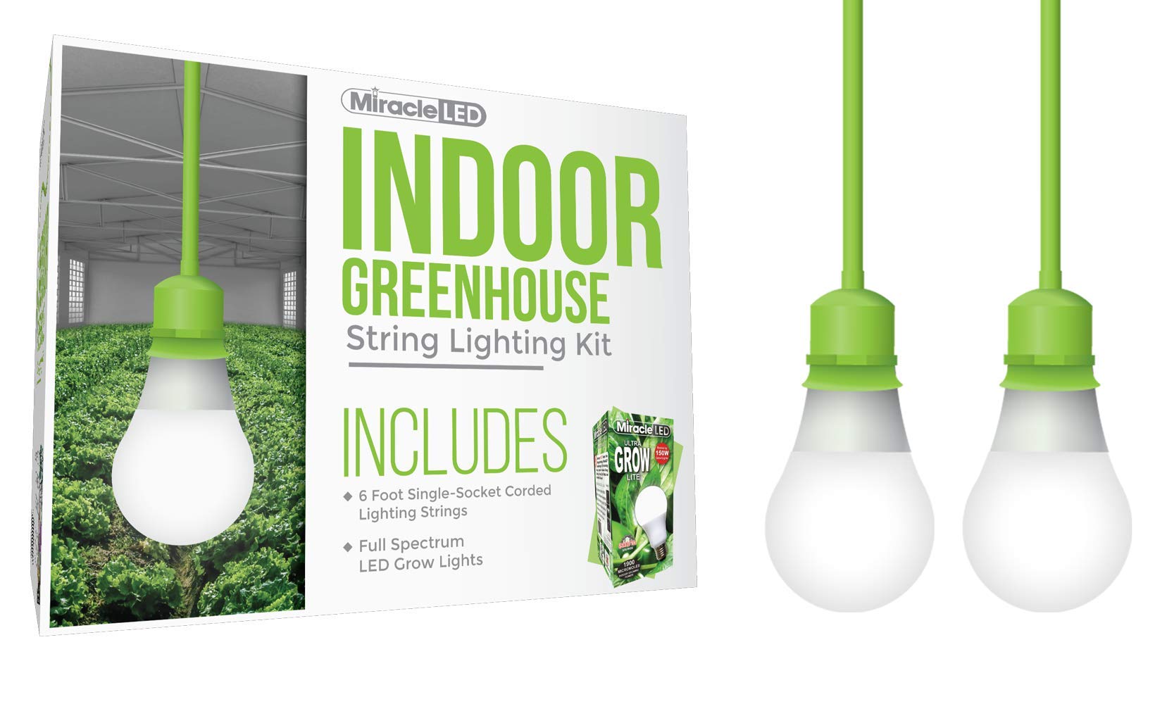Amazon.com : Miracle LED Single-Socket 6ft Corded Indoor