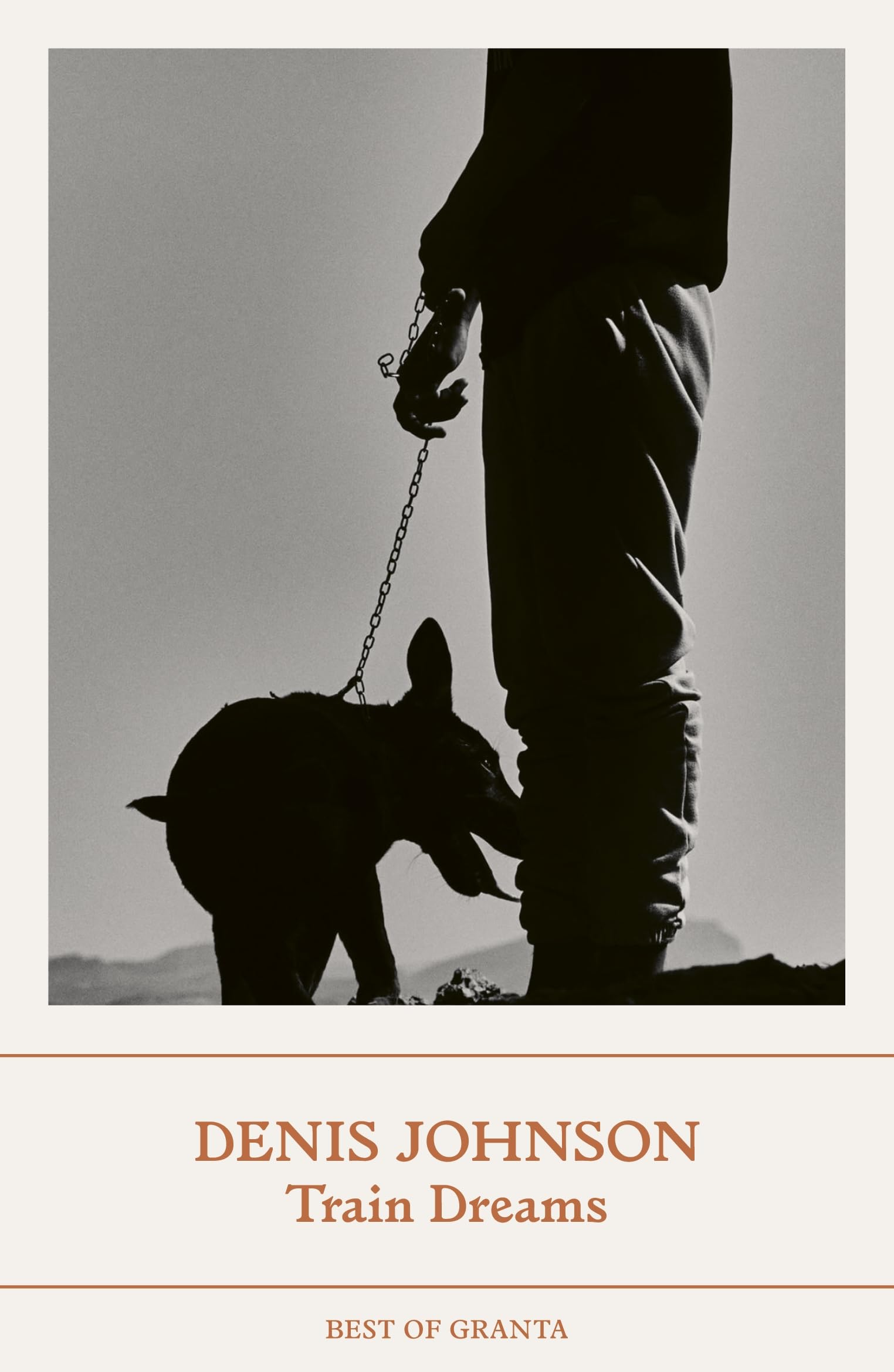 Train Dreams by Denis Johnson PAPERBACK 9781803510224