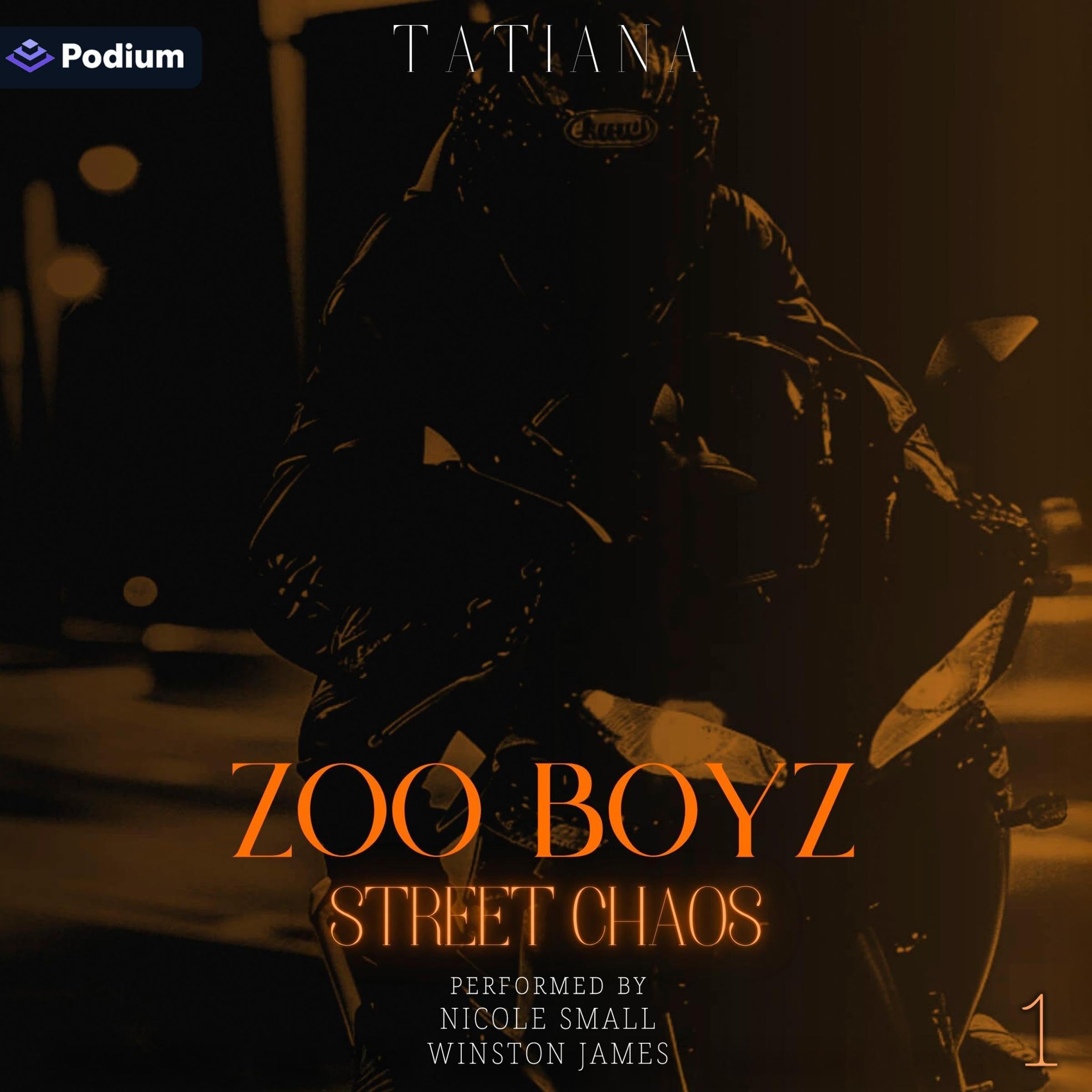 Cover art for Zoo Boyz: Street Chaos