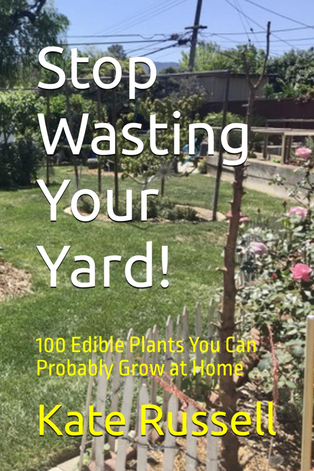 Stop Wasting Your Yard!: 100 Edible Plants You Can Probably Grow at Home (The Daily Garden)