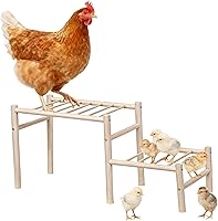 Gartist Chicken Perch Roosting Ladder 25x9x11" Wooden Coop Toy - Safe Dual-Height Climbing Gym for Chicks, Hens & Backyard Poultry Health