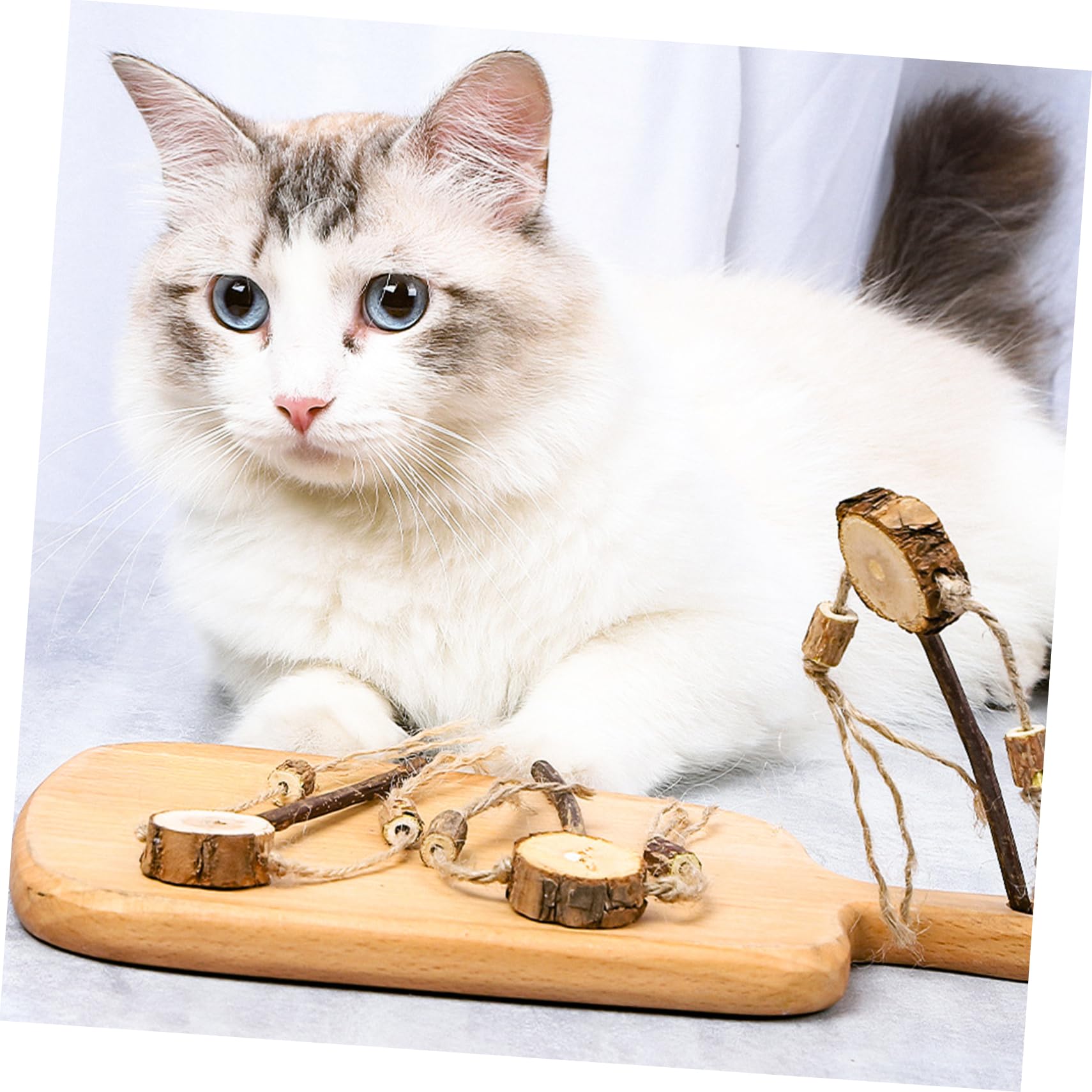 Kratzbaum, 9 Stück Spielzeug Interaktives Katzen, Kauspielzeug Quietschende Tease