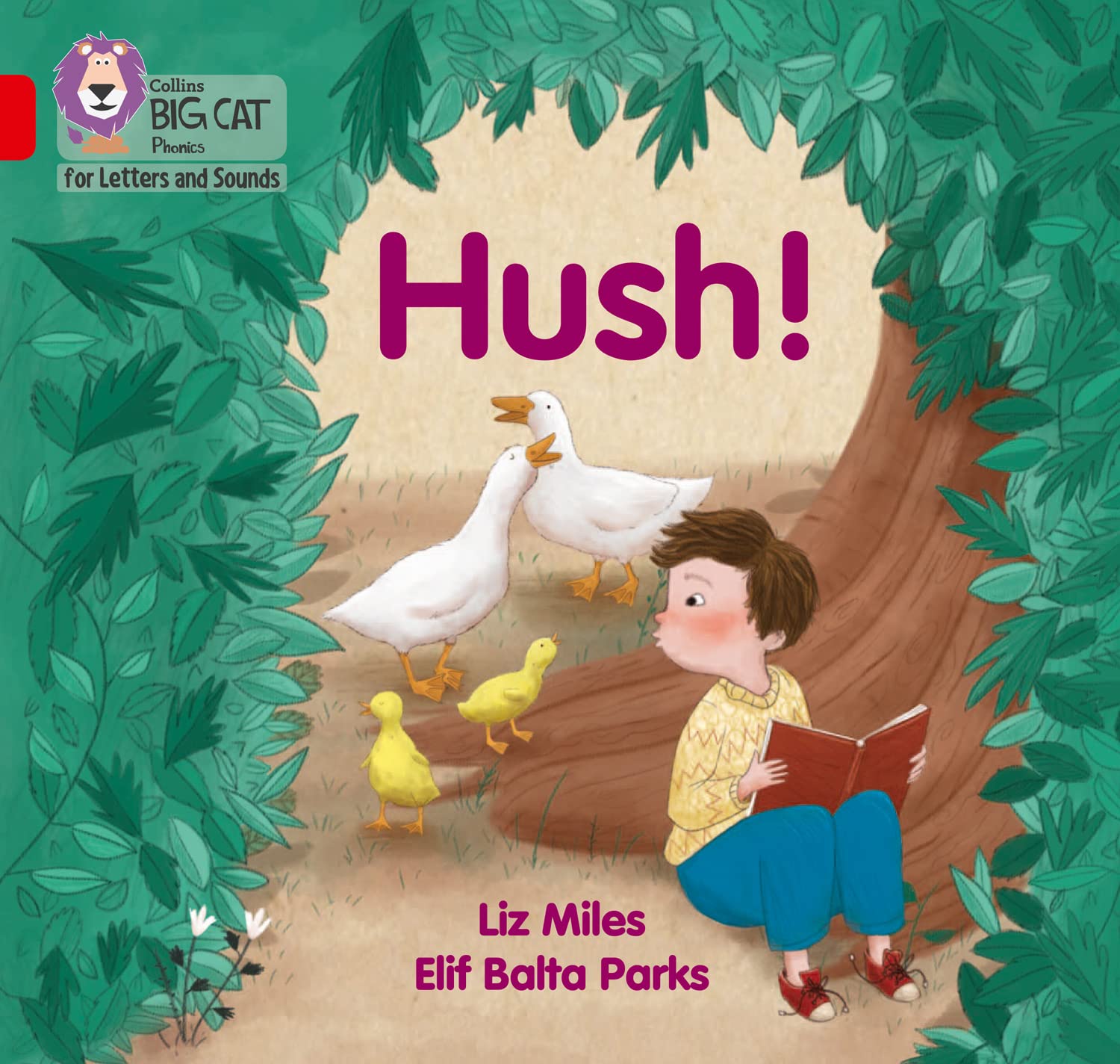 Hush!: Band 02A/Red A (Collins Big Cat Phonics for Letters and Sounds)