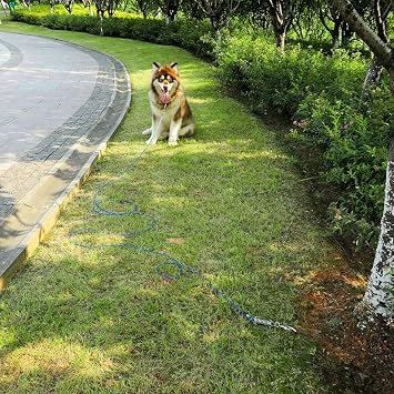Bağlama Kablosu, 10/20/50/100FT Dayanıklı Yaylı Paslanma Korumalı Köpek Koşucu Kablosu, Eğitim İpi Yansıtıcı Eğitim Koşucusu, Bahçe Dış Mekan ve Kamp için Köpek Tasma Koşu Bandı (Mavi, 20 FT)