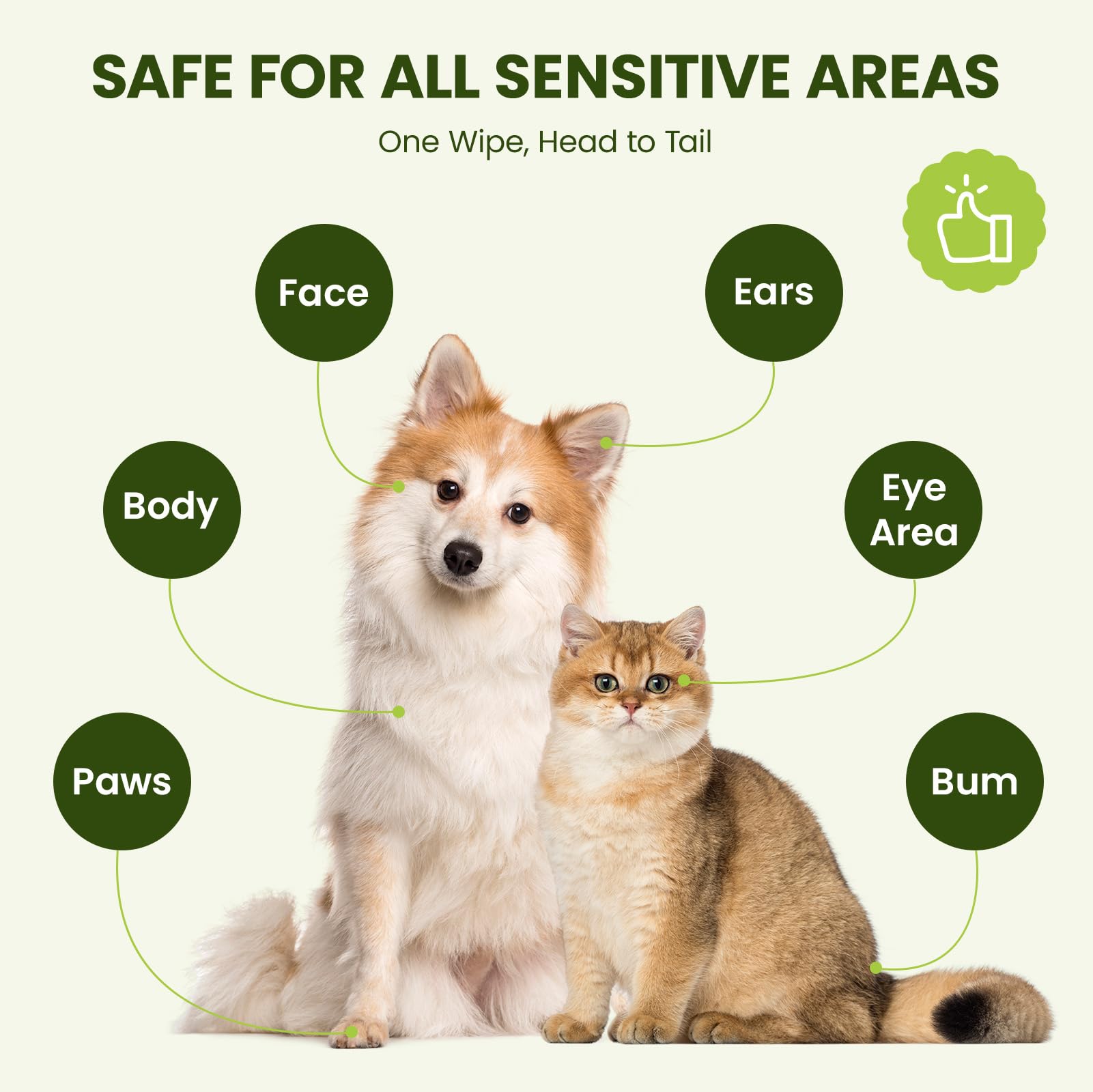Hypoallergenic Pet Wipes for Dogs & Cats – Quick Clean & Deodorize Paws, Butt, Eyes, Ears, Face & Fur | Daily Grooming After Walks and Between Baths | Extra Large & Thick | Coconut Scented, 400 Count - image 2