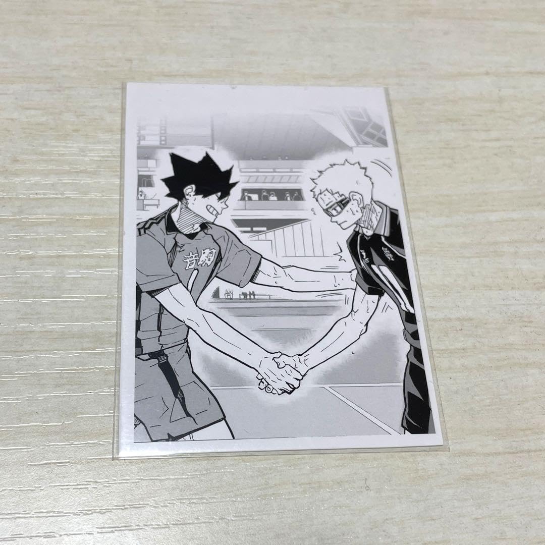 Amazon.co.jp: ハイキュー!! 10thクロニクル 思い出スナップフォト  